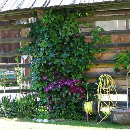 Holzblockhaeuser Fam. Schabus Дом отдыха *