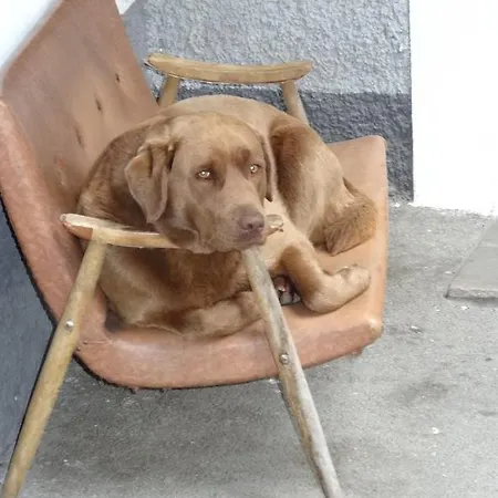 Holzblockhaeuser Fam. Schabus Дом отдыха