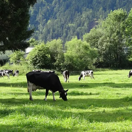 Holzblockhaeuser Fam. Schabus