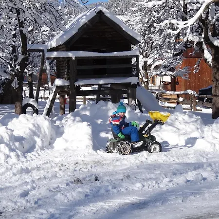 Holzblockhaeuser Fam. Schabus Dom wakacyjny *