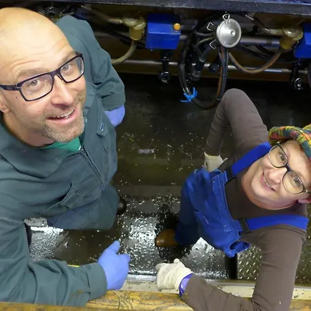 Holzblockhaeuser Fam. Schabus Dom wakacyjny