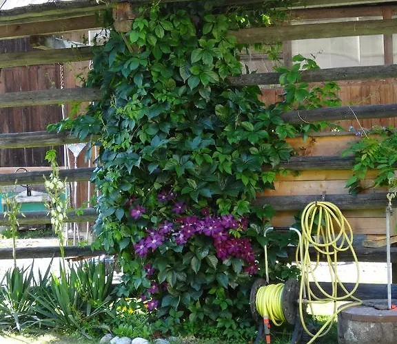 Holzblockhaeuser Fam. Schabus Сasa de vacaciones *