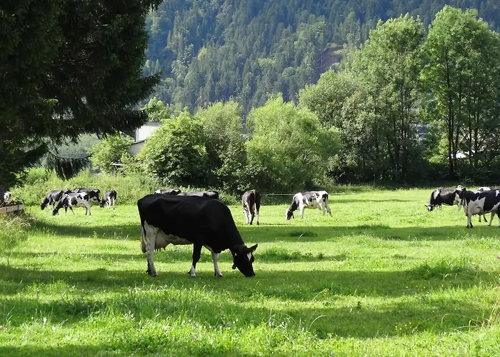 Holzblockhaeuser Fam. Schabus